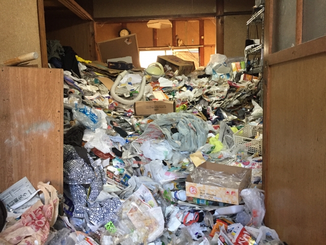 ゴミ屋敷実績