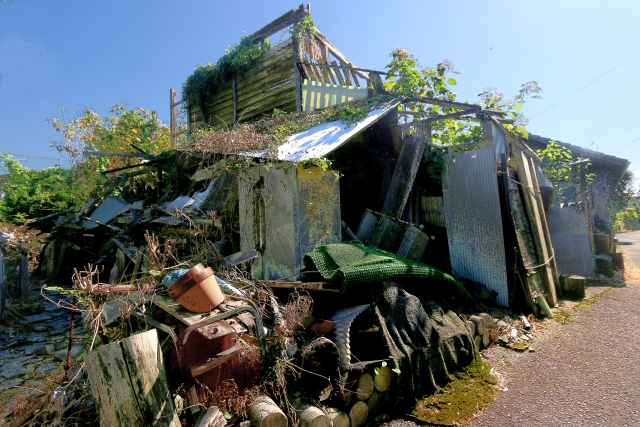 ゴミ屋敷実績
